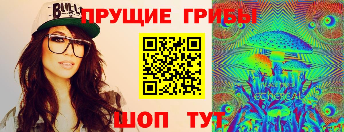 Псилоцибиновые грибы Cubensis Туймазы