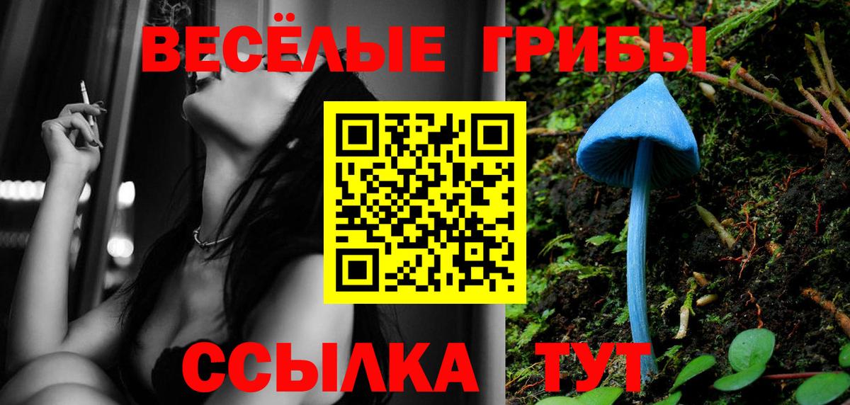 Псилоцибиновые грибы ЛСД  Вход с VPN  Псилоцибиновые грибы мицелий  Туймазы 